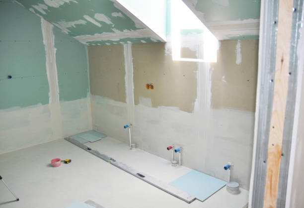 Best Post-Construction Mold Inspection  in Hawaiian Paradise Park, HI