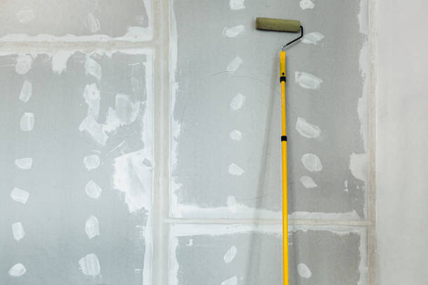 Best Water Damage & Mold Remediation  in Hawaiian Paradise Park, HI