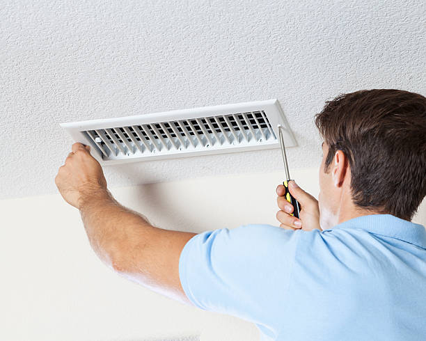 Best Mold Removal for HVAC Installations  in Hawaiian Paradise Park, HI