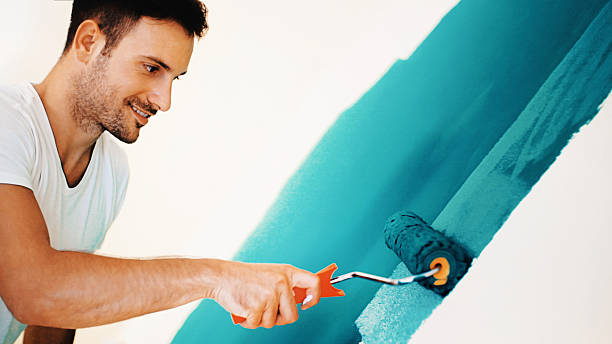 Best Commercial Mold Inspection  in Hawaiian Paradise Park, HI